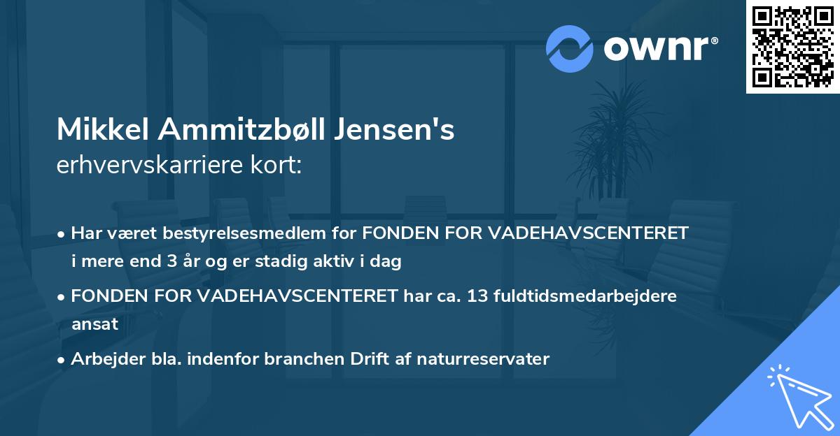 Mikkel Ammitzbøll Jensen's erhvervskarriere kort