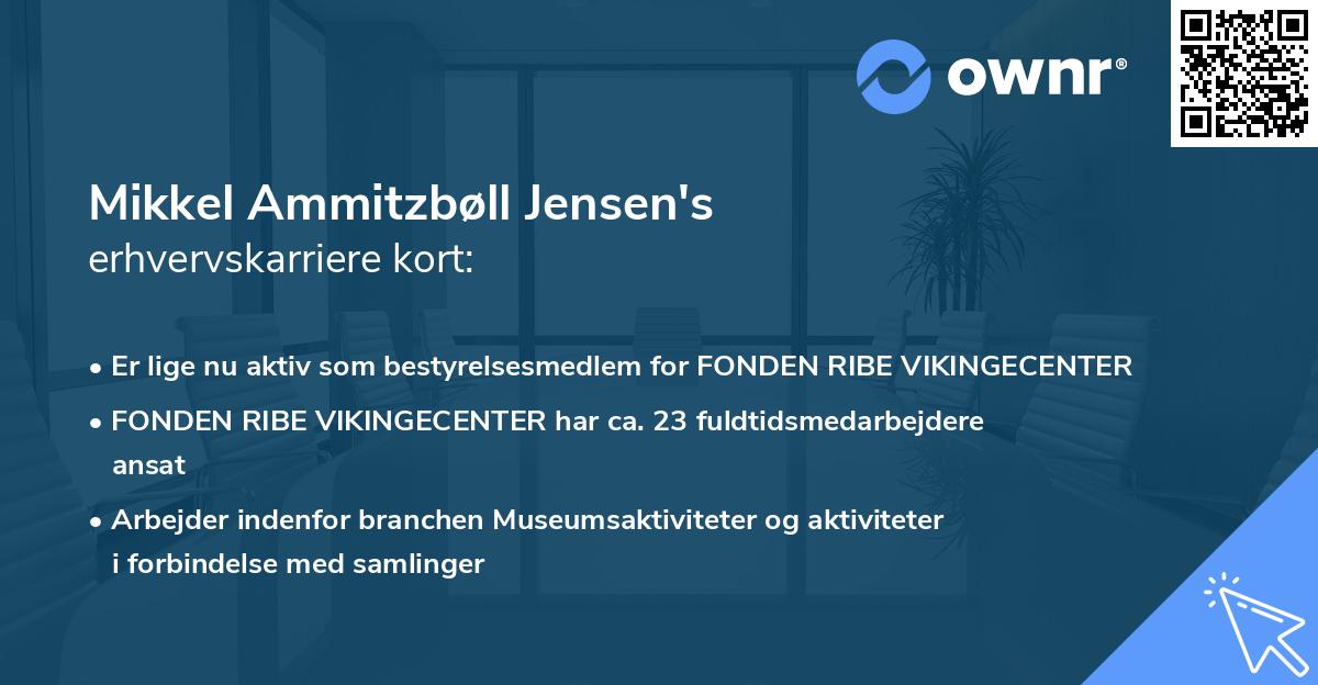 Mikkel Ammitzbøll Jensen's erhvervskarriere kort