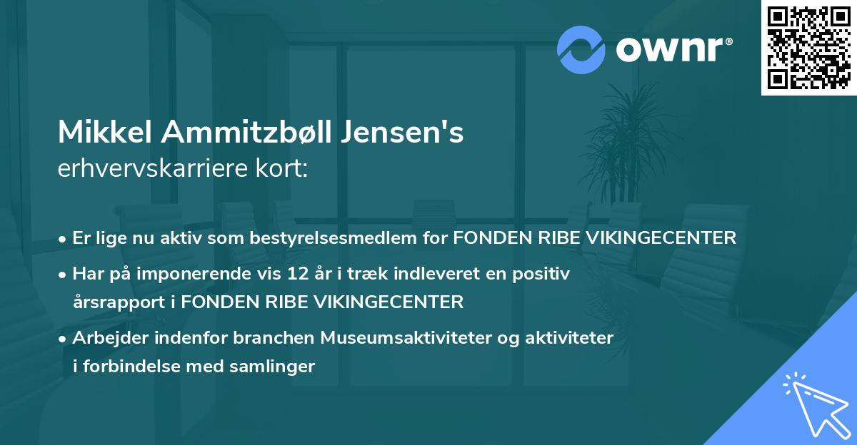 Mikkel Ammitzbøll Jensen's erhvervskarriere kort