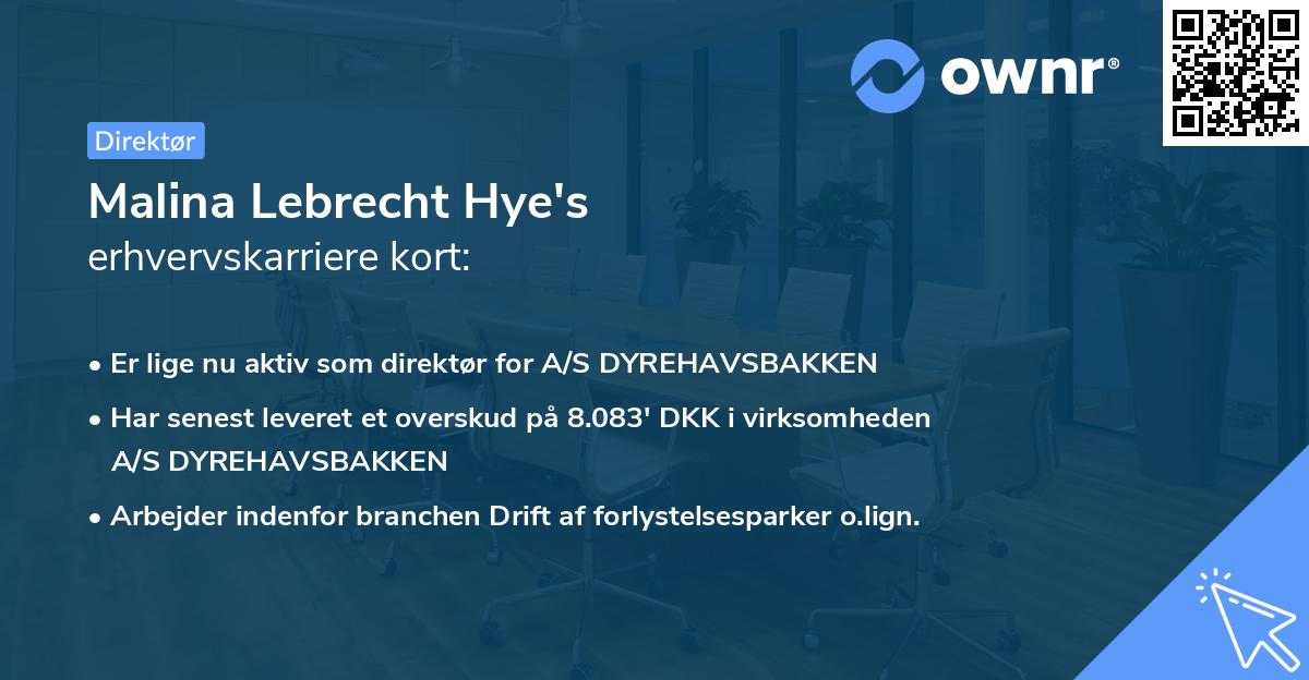 Malina Lebrecht Hye's erhvervskarriere kort