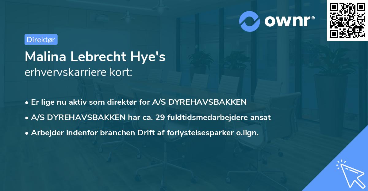 Malina Lebrecht Hye's erhvervskarriere kort