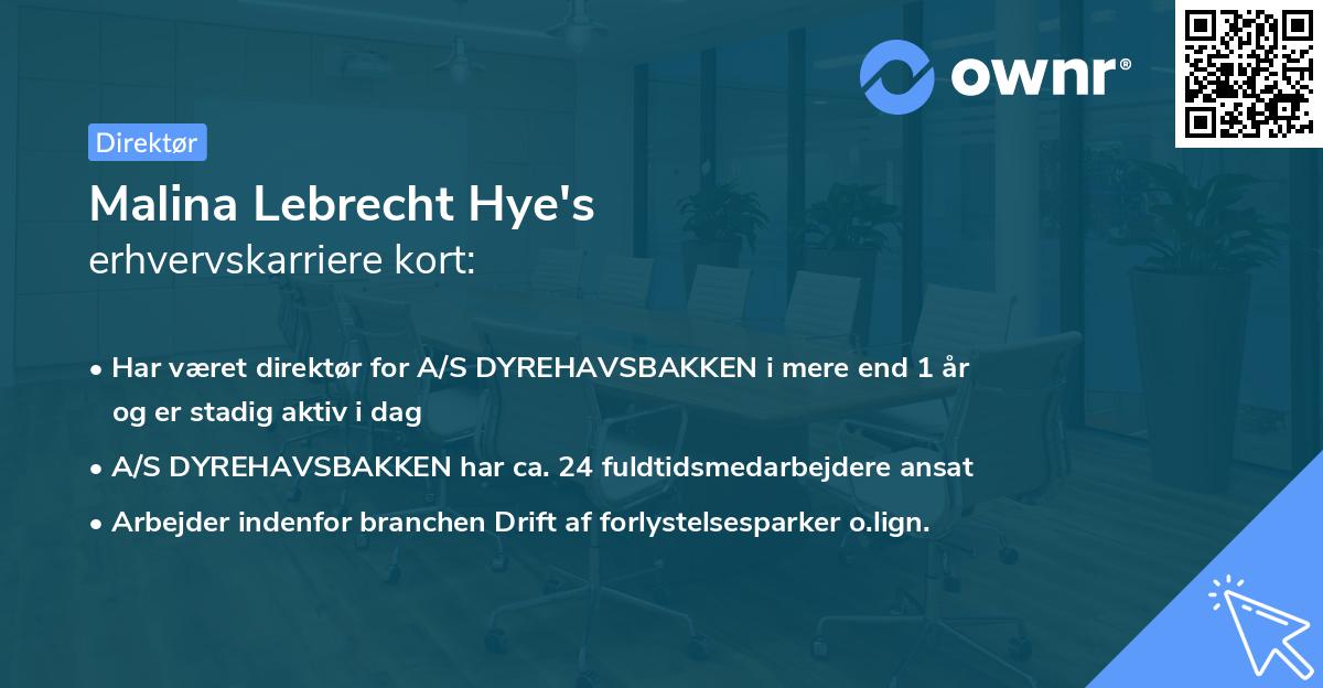 Malina Lebrecht Hye's erhvervskarriere kort
