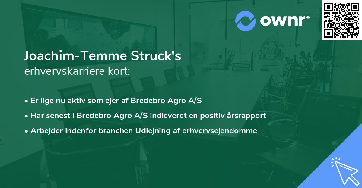 Joachim-Temme Struck's erhvervskarriere kort