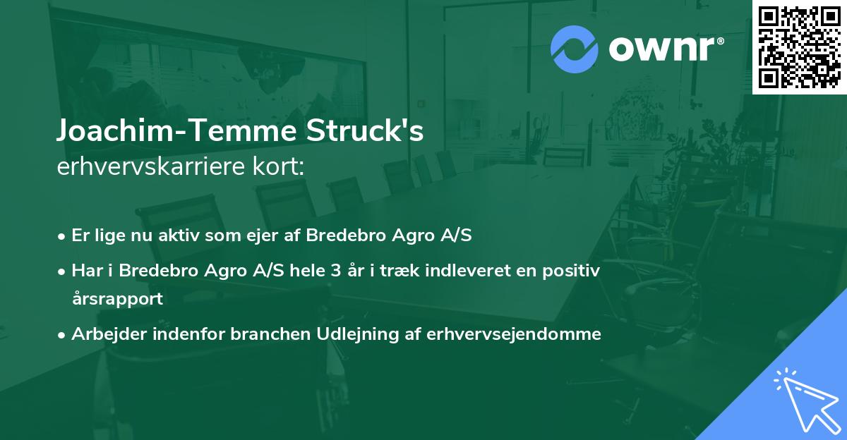 Joachim-Temme Struck's erhvervskarriere kort