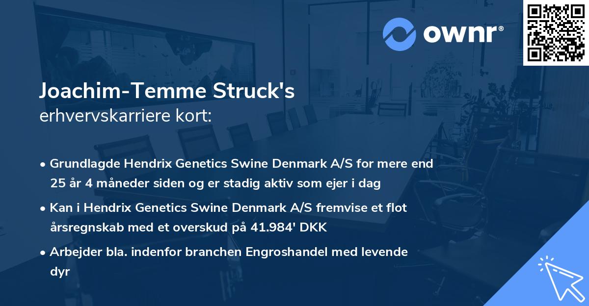 Joachim-Temme Struck's erhvervskarriere kort