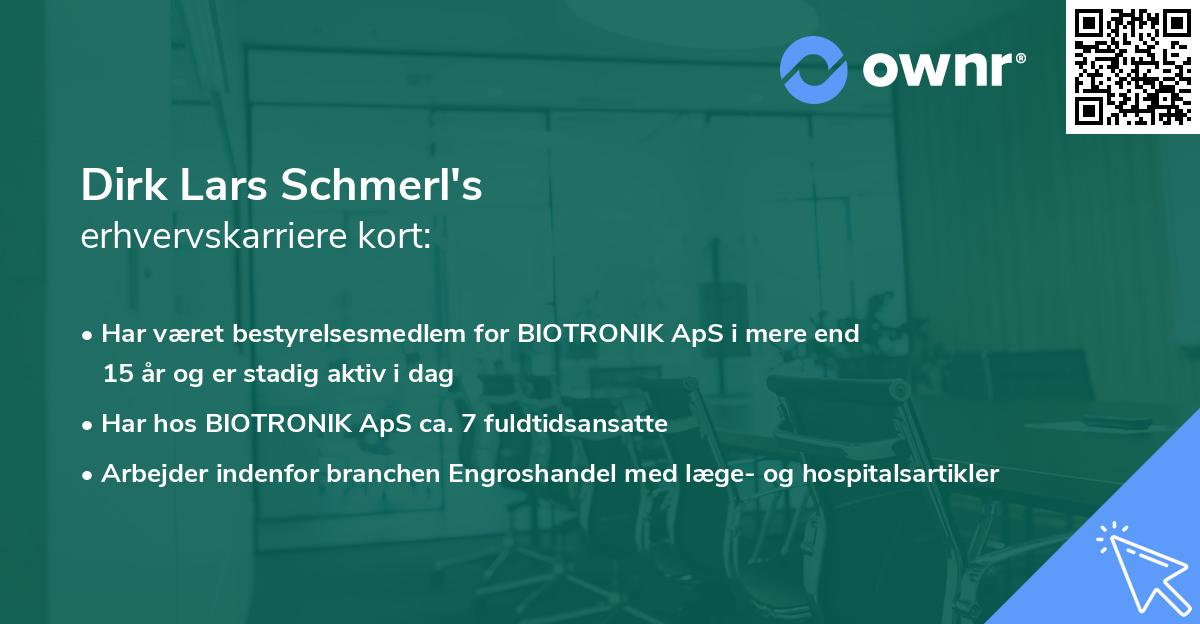 Dirk Lars Schmerl's erhvervskarriere kort
