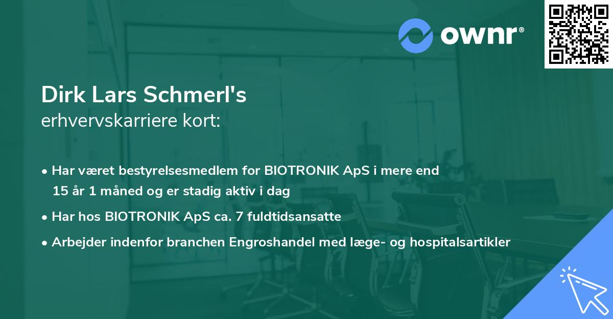 Dirk Lars Schmerl's erhvervskarriere kort