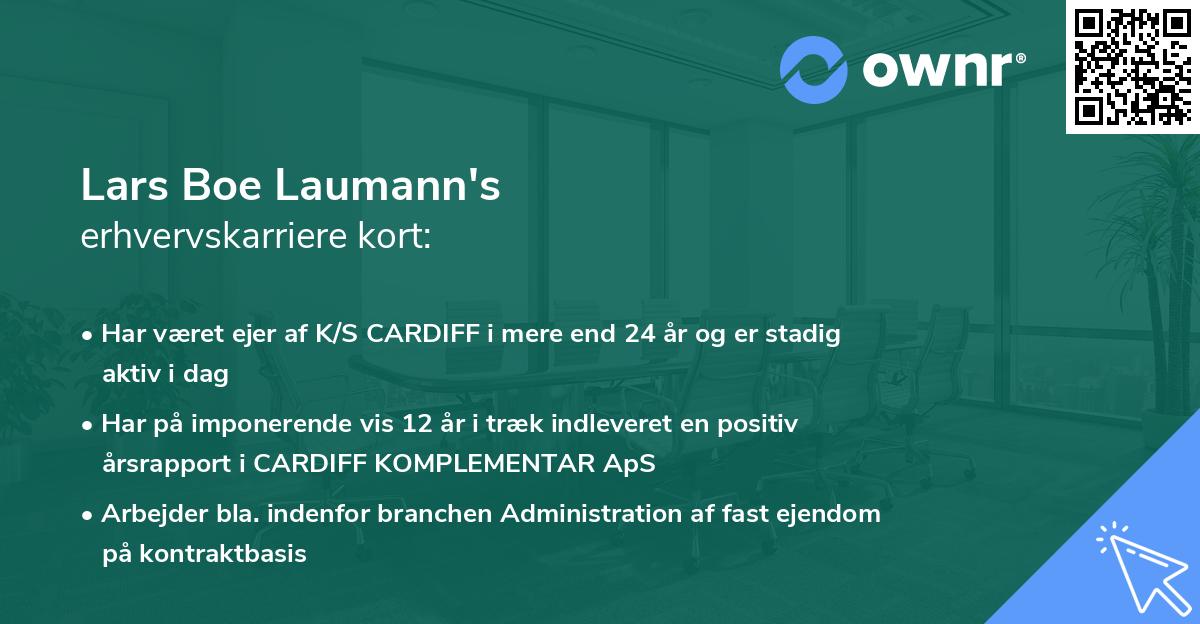 Lars Boe Laumann's erhvervskarriere kort