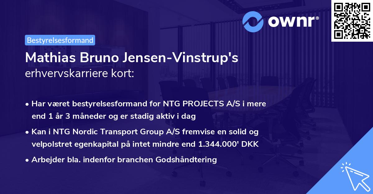 Mathias Bruno Jensen-Vinstrup's erhvervskarriere kort