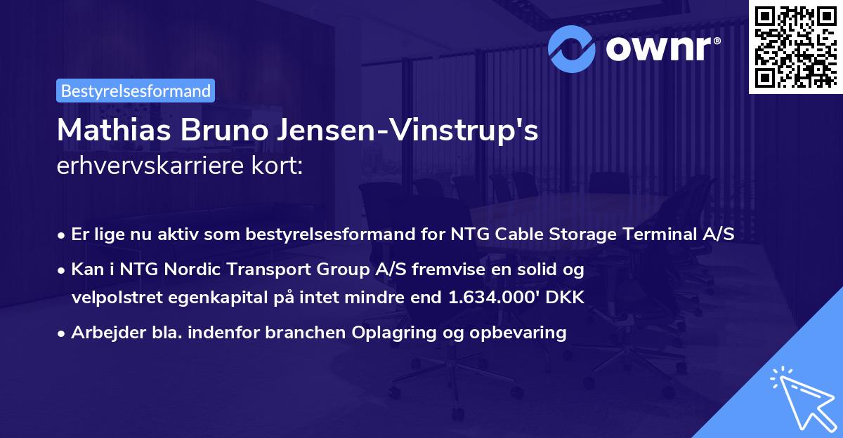 Mathias Bruno Jensen-Vinstrup's erhvervskarriere kort