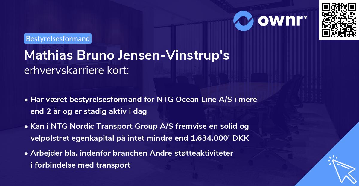 Mathias Bruno Jensen-Vinstrup's erhvervskarriere kort