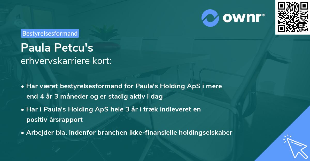 Paula Petcu's erhvervskarriere kort