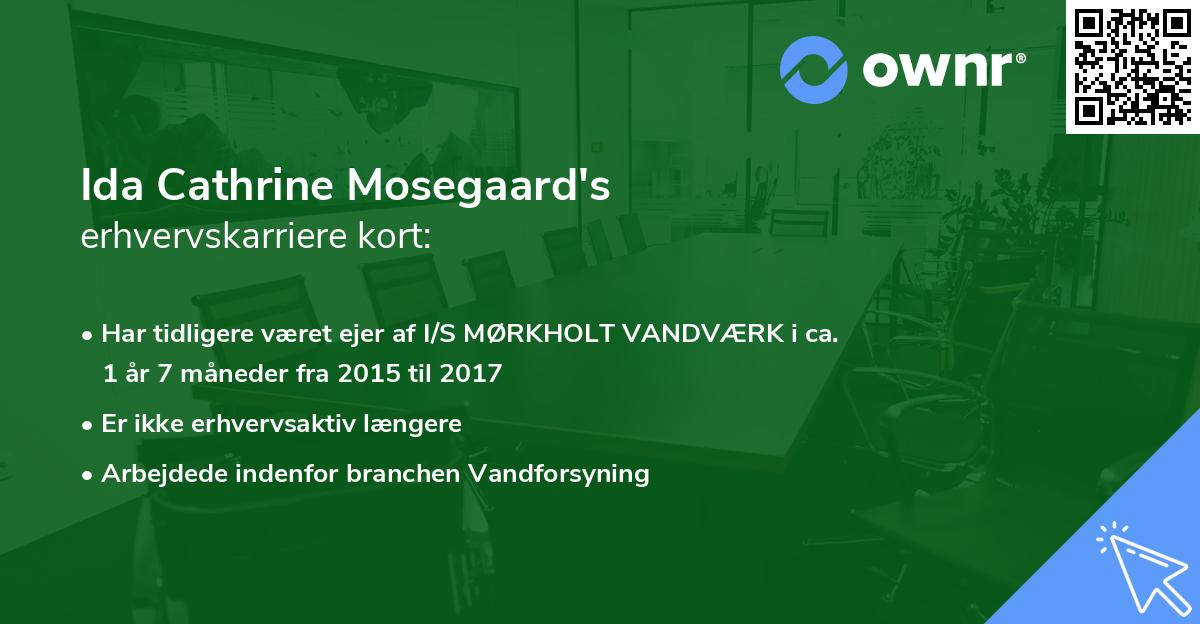 Ida Cathrine Mosegaard's erhvervskarriere kort