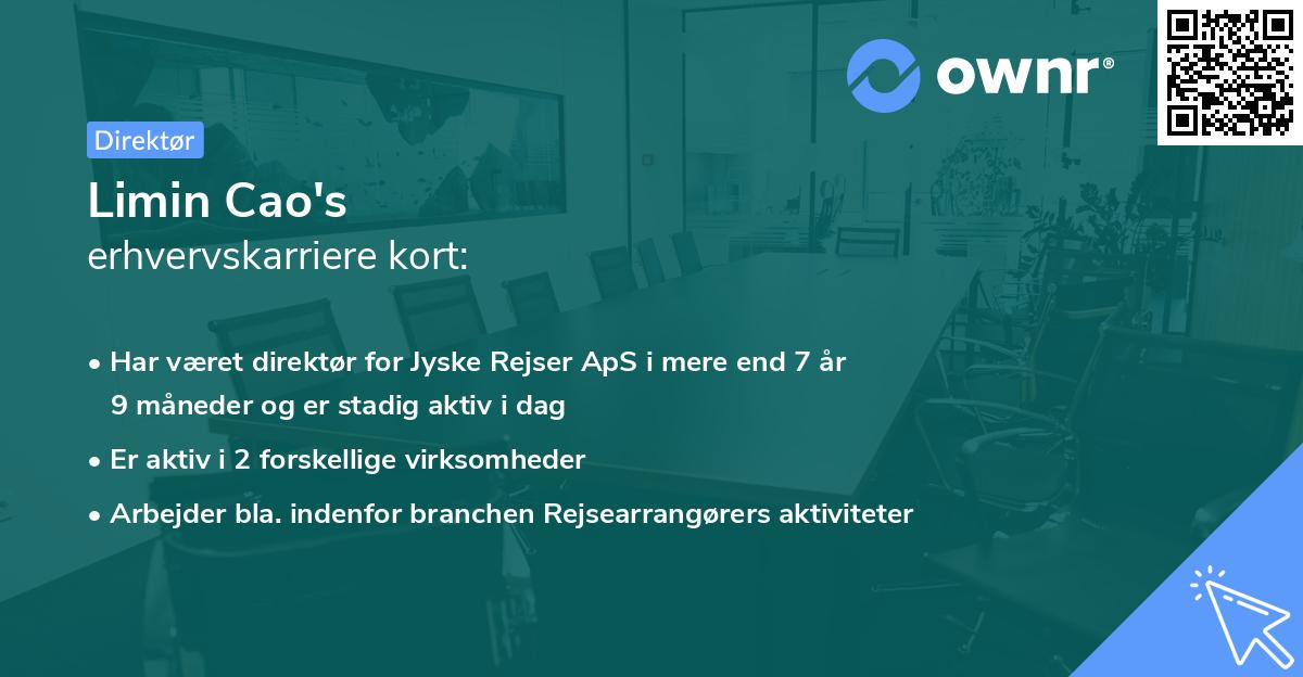 Limin Cao's erhvervskarriere kort