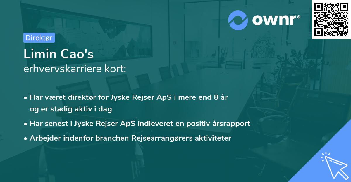 Limin Cao's erhvervskarriere kort