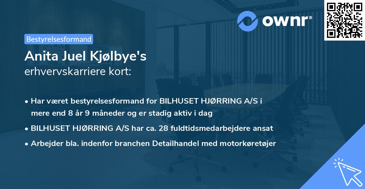 Anita Juel Kjølbye's erhvervskarriere kort