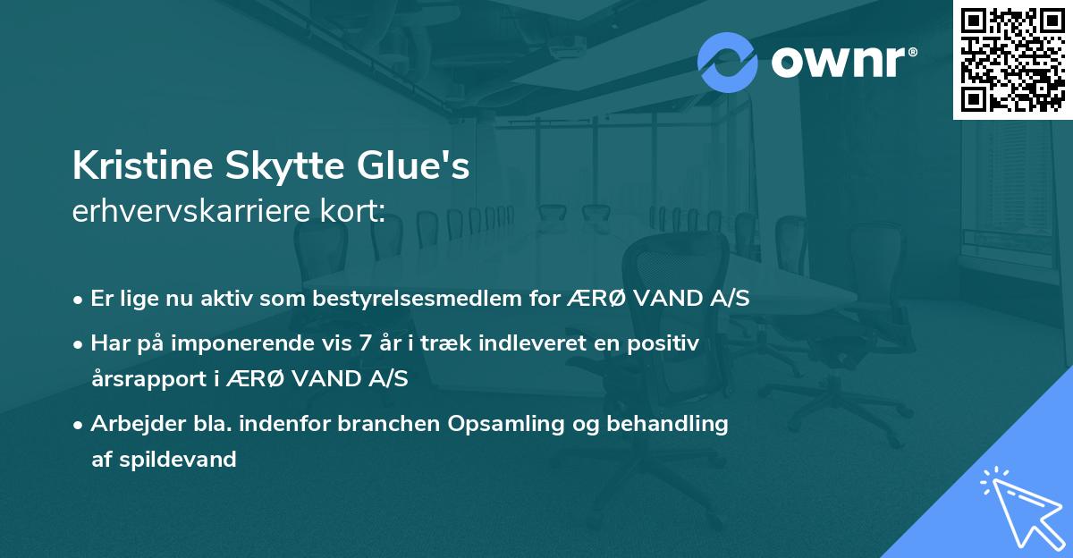 Kristine Skytte Glue's erhvervskarriere kort