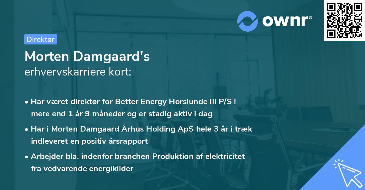 Morten Damgaard's erhvervskarriere kort