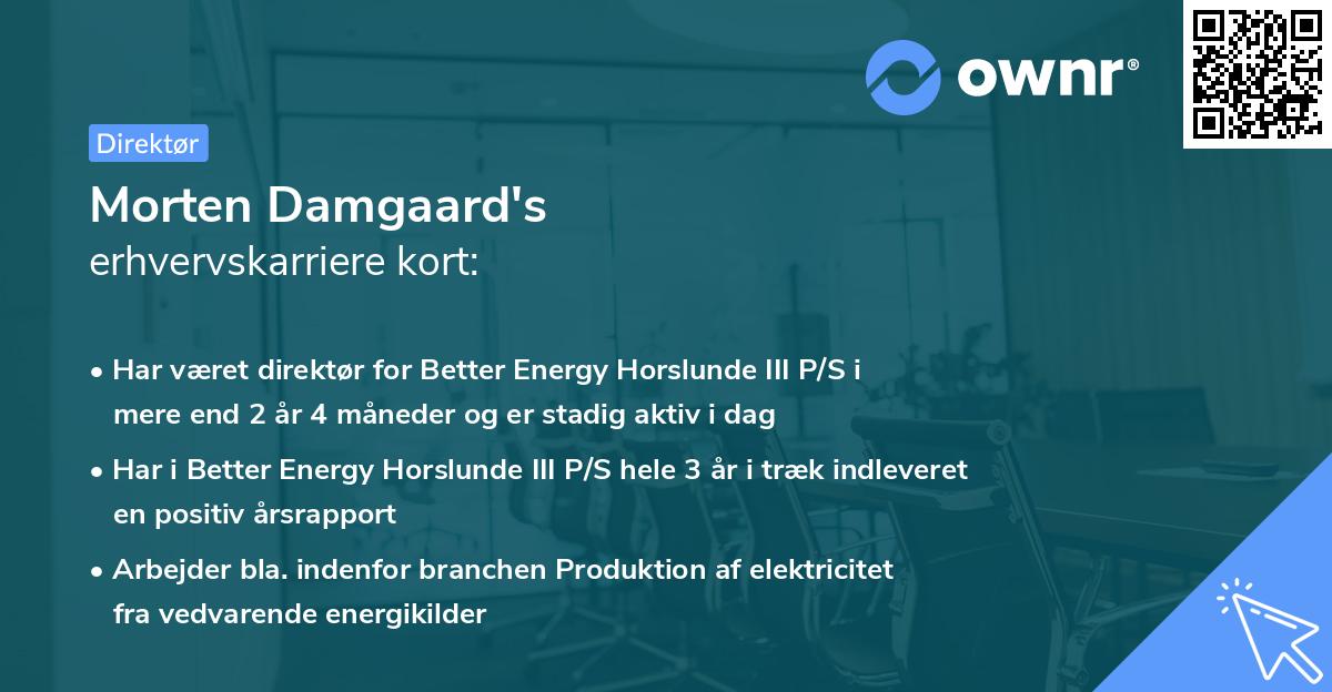 Morten Damgaard's erhvervskarriere kort