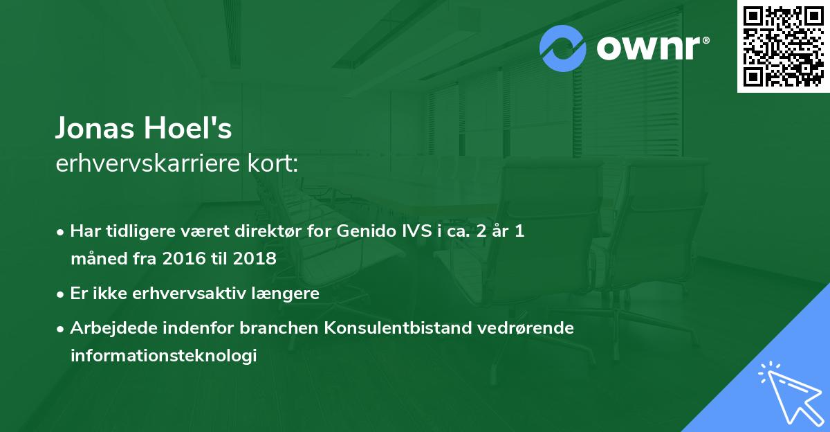 Jonas Hoel's erhvervskarriere kort