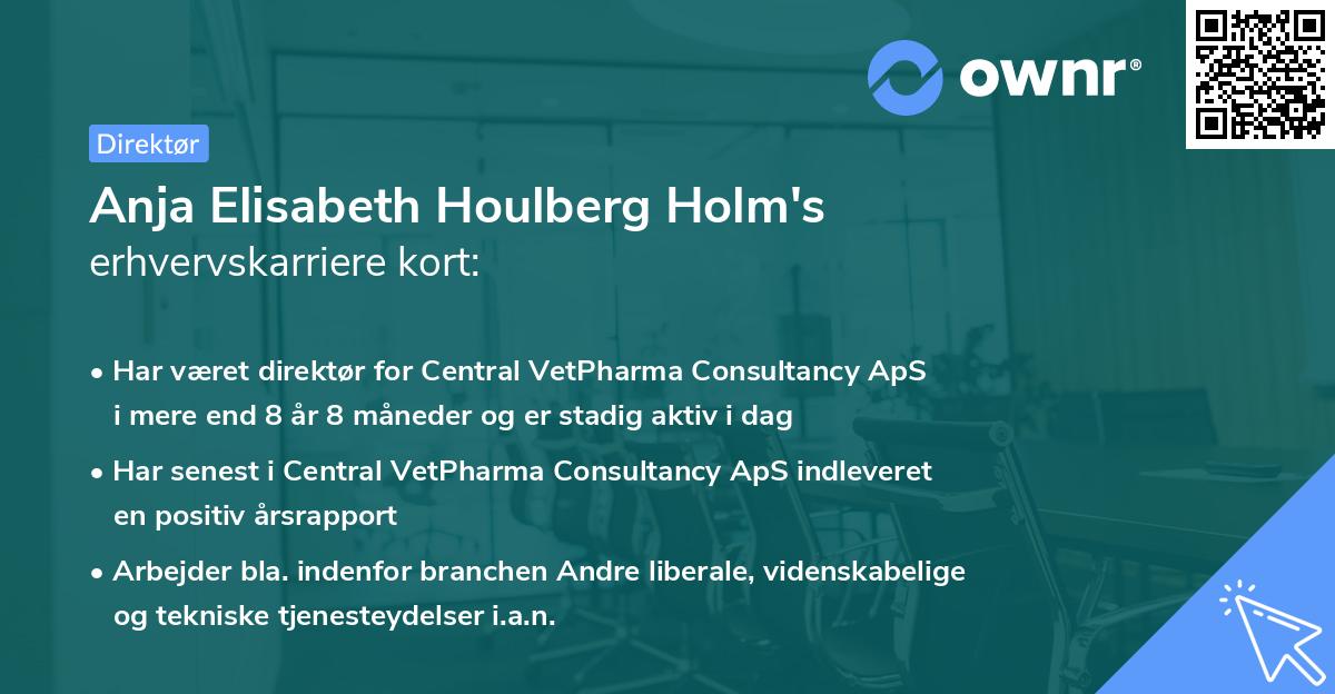 Anja Elisabeth Houlberg Holm's erhvervskarriere kort