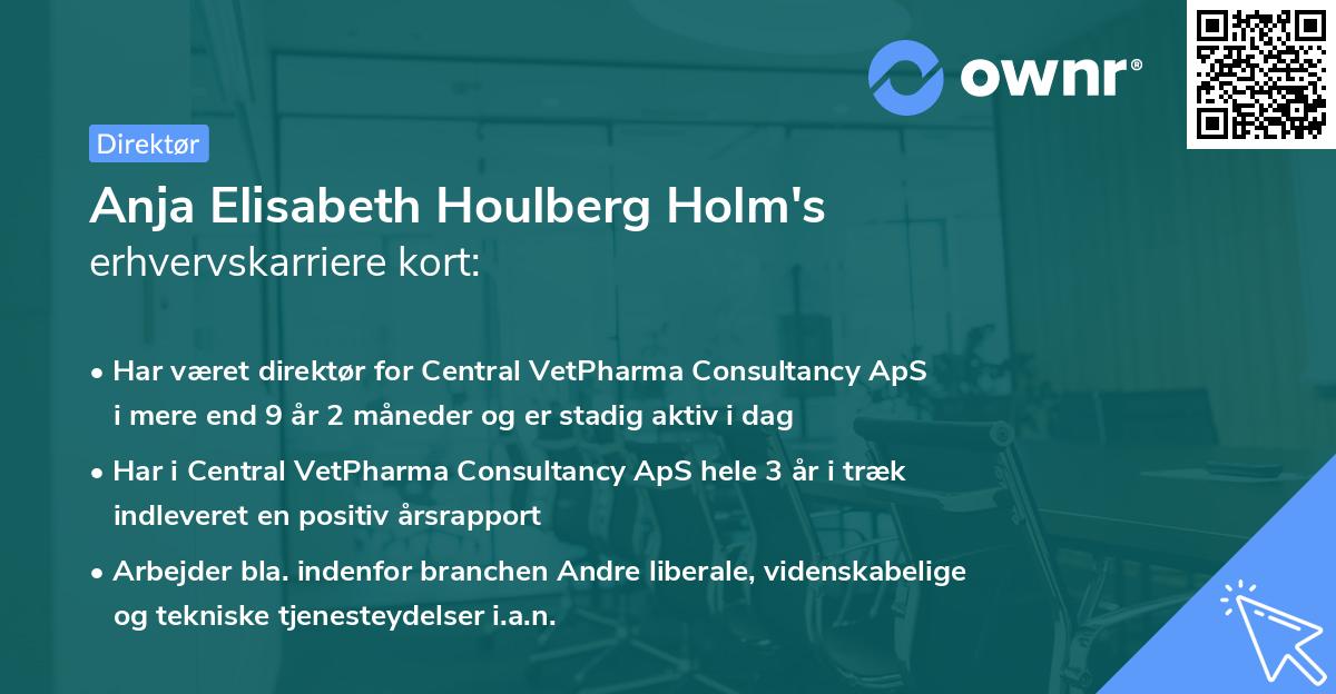 Anja Elisabeth Houlberg Holm's erhvervskarriere kort