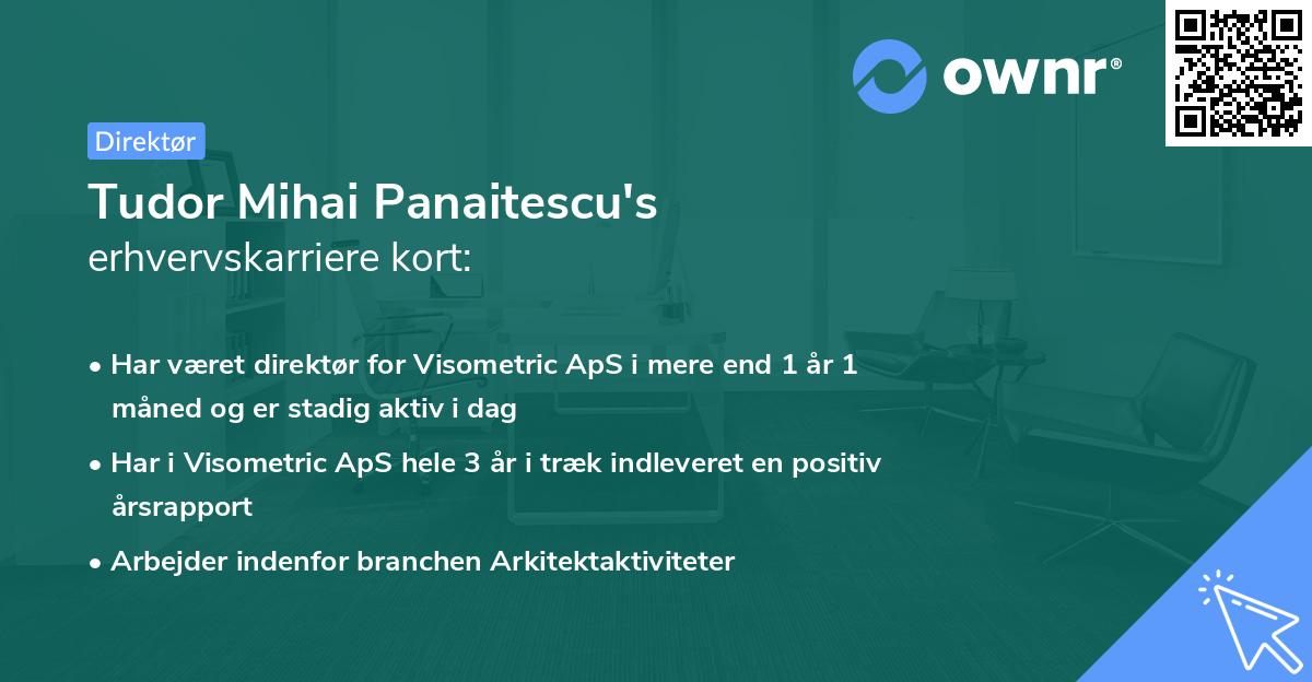 Tudor Mihai Panaitescu's erhvervskarriere kort