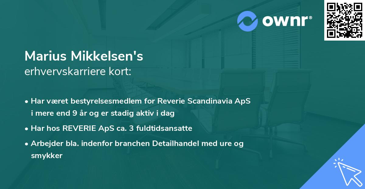 Marius Mikkelsen's erhvervskarriere kort