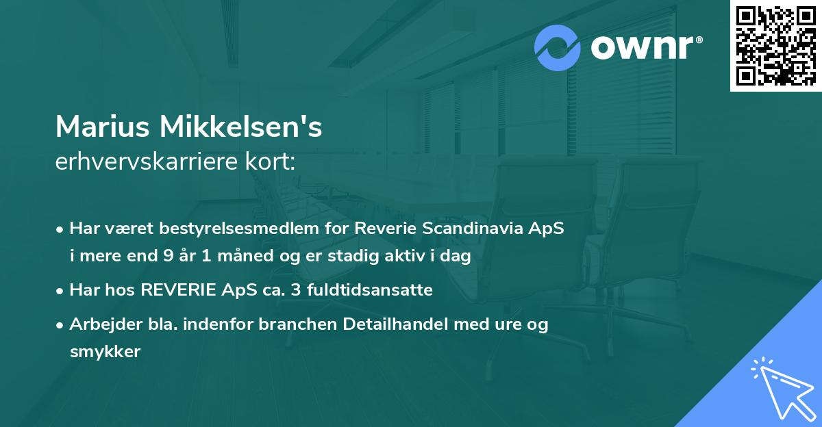 Marius Mikkelsen's erhvervskarriere kort