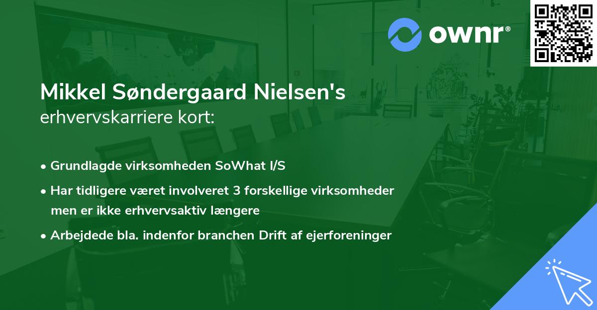 Mikkel Søndergaard Nielsen's erhvervskarriere kort