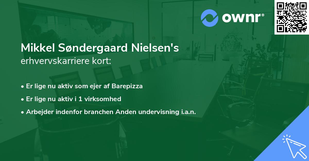 Mikkel Søndergaard Nielsen's erhvervskarriere kort