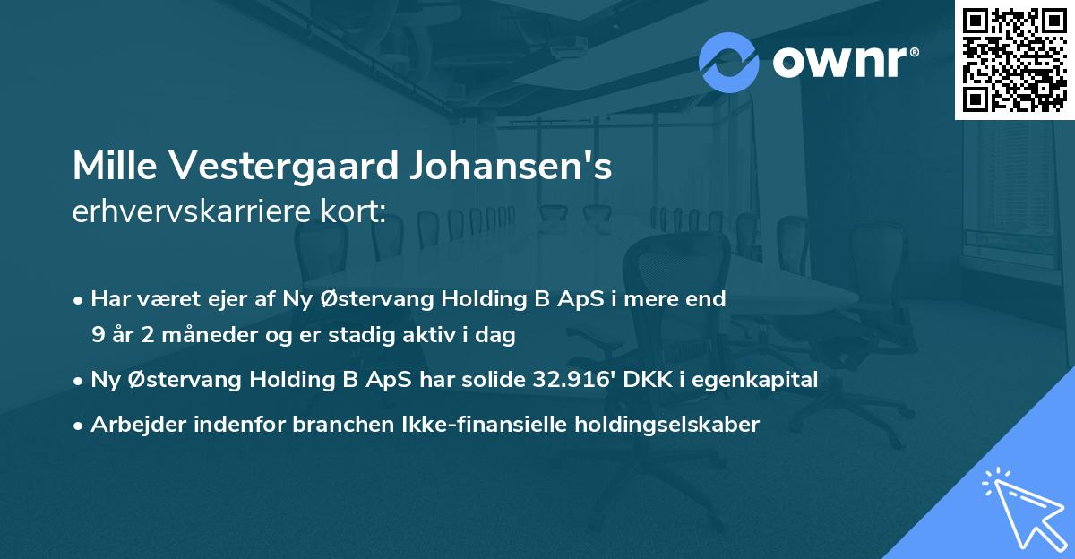 Mille Vestergaard Johansen's erhvervskarriere kort