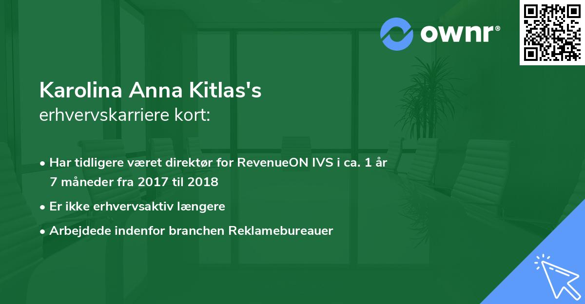 Karolina Anna Kitlas's erhvervskarriere kort