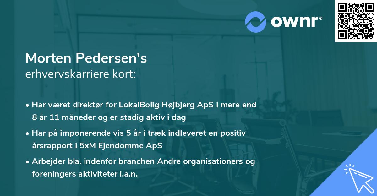 Morten Pedersen's erhvervskarriere kort