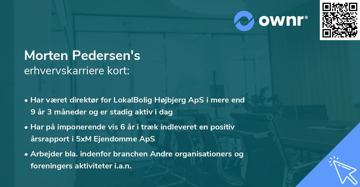 Morten Pedersen's erhvervskarriere kort
