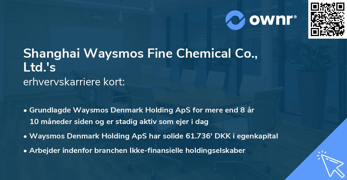 Shanghai Waysmos Fine Chemical Co., Ltd.'s erhvervskarriere kort