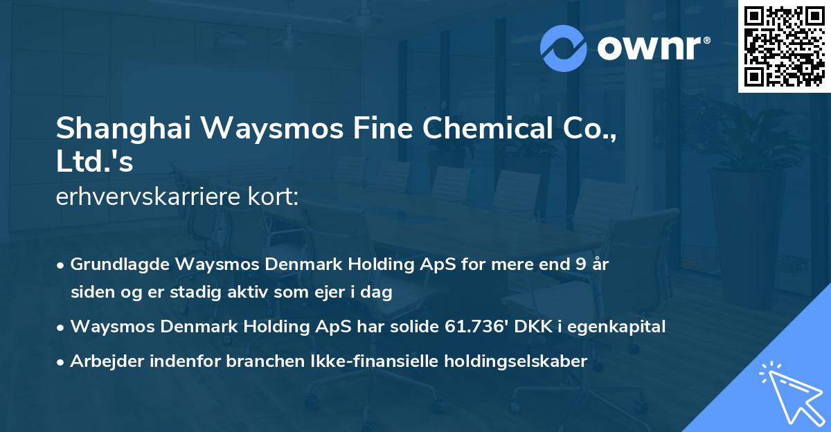 Shanghai Waysmos Fine Chemical Co., Ltd.'s erhvervskarriere kort