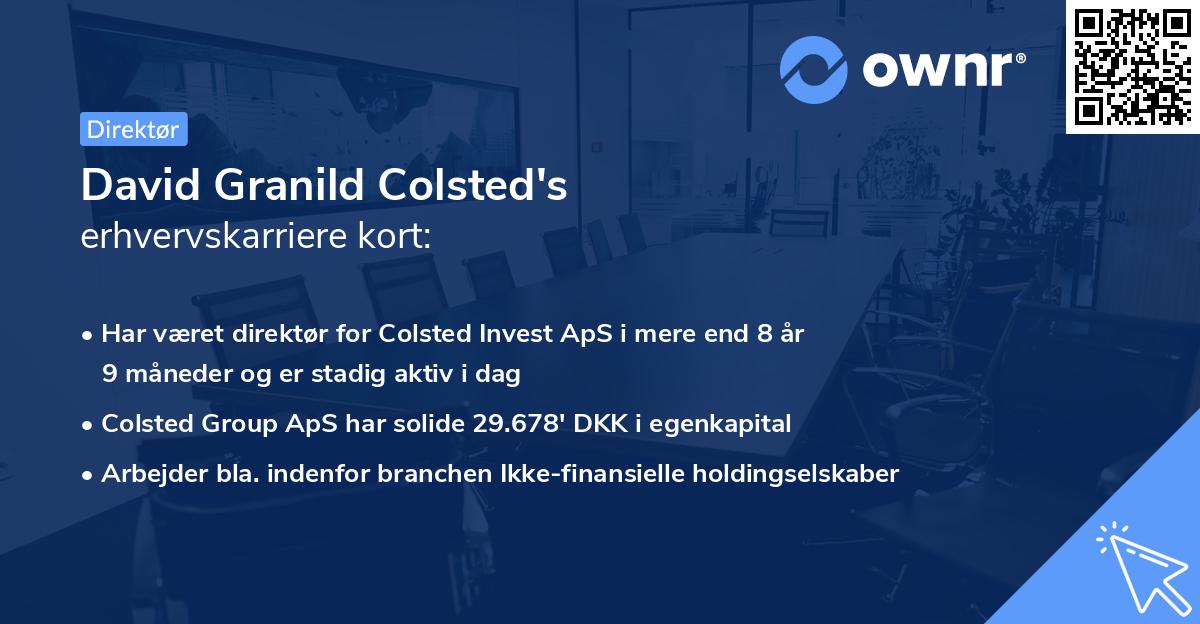 David Granild Colsted's erhvervskarriere kort