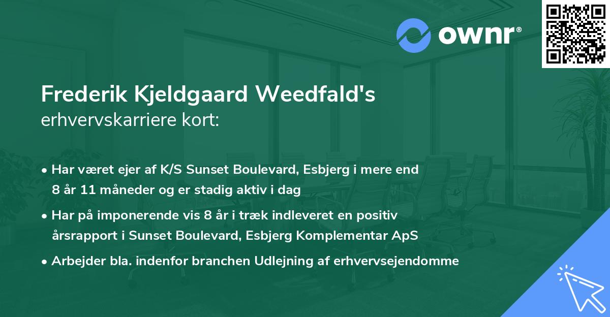 Frederik Kjeldgaard Weedfald's erhvervskarriere kort