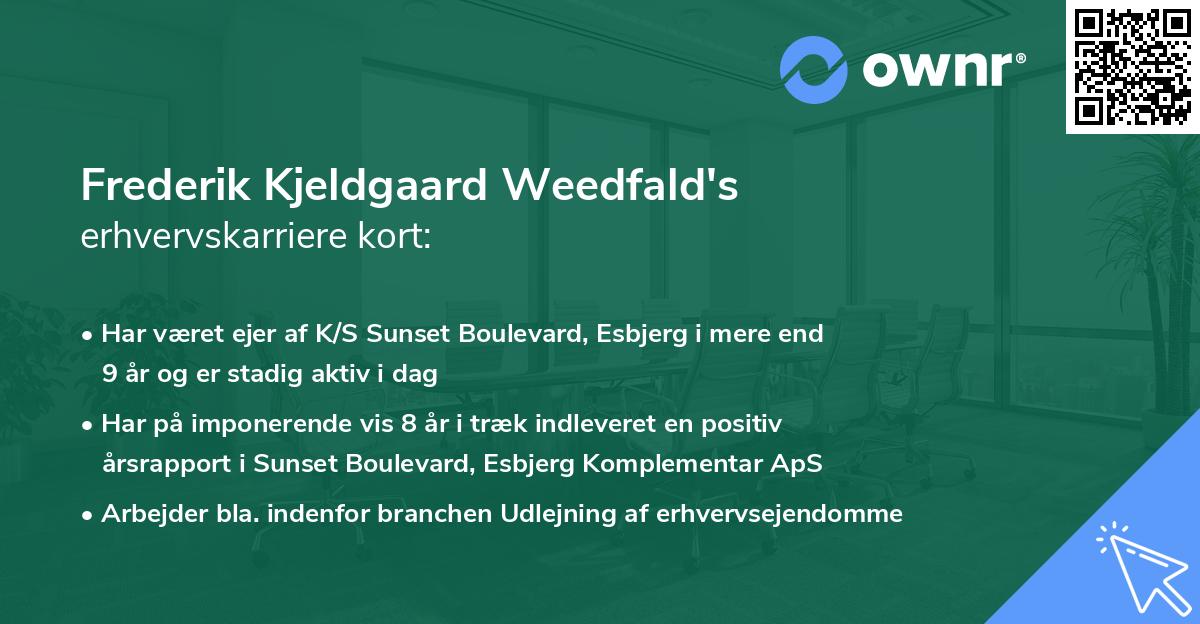 Frederik Kjeldgaard Weedfald's erhvervskarriere kort