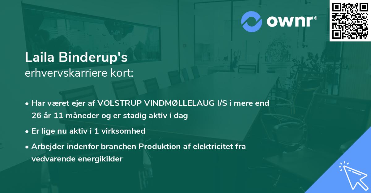 Laila Binderup's erhvervskarriere kort