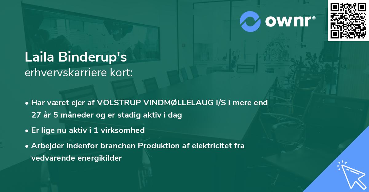 Laila Binderup's erhvervskarriere kort