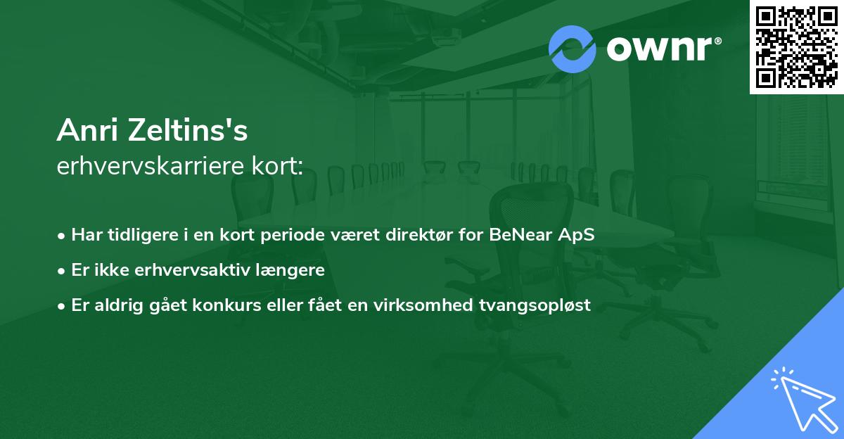 Anri Zeltins's erhvervskarriere kort