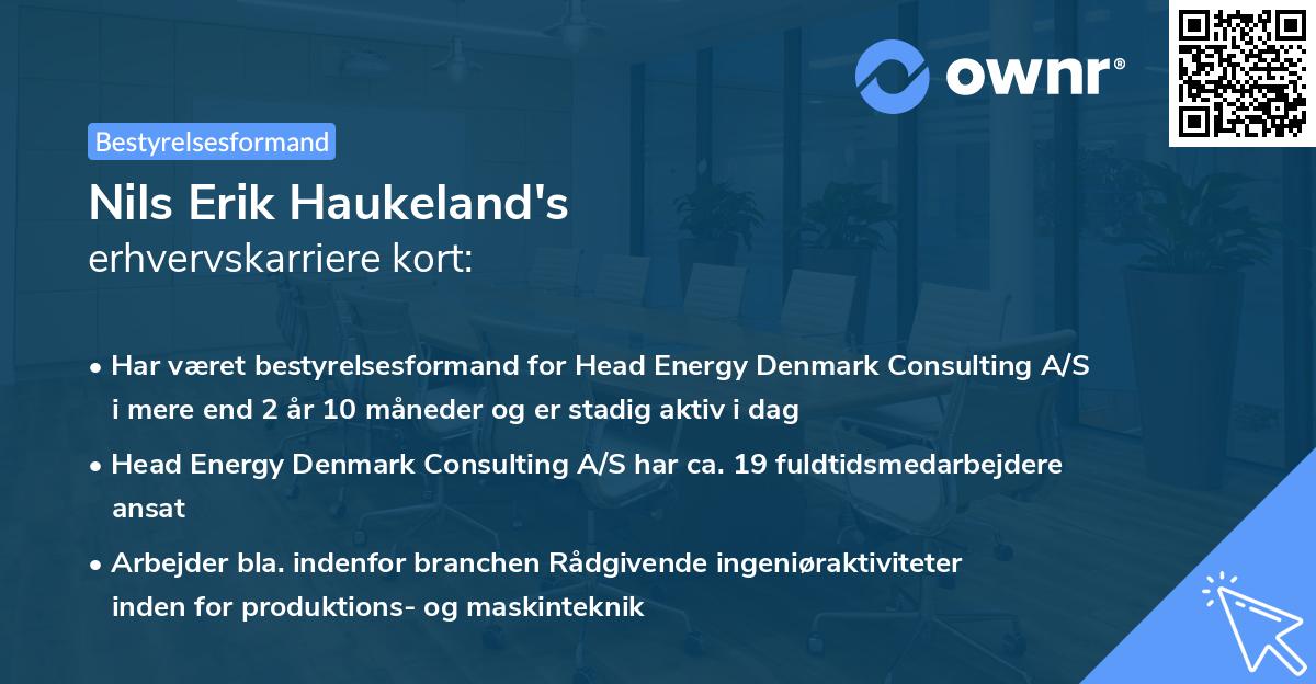 Nils Erik Haukeland's erhvervskarriere kort