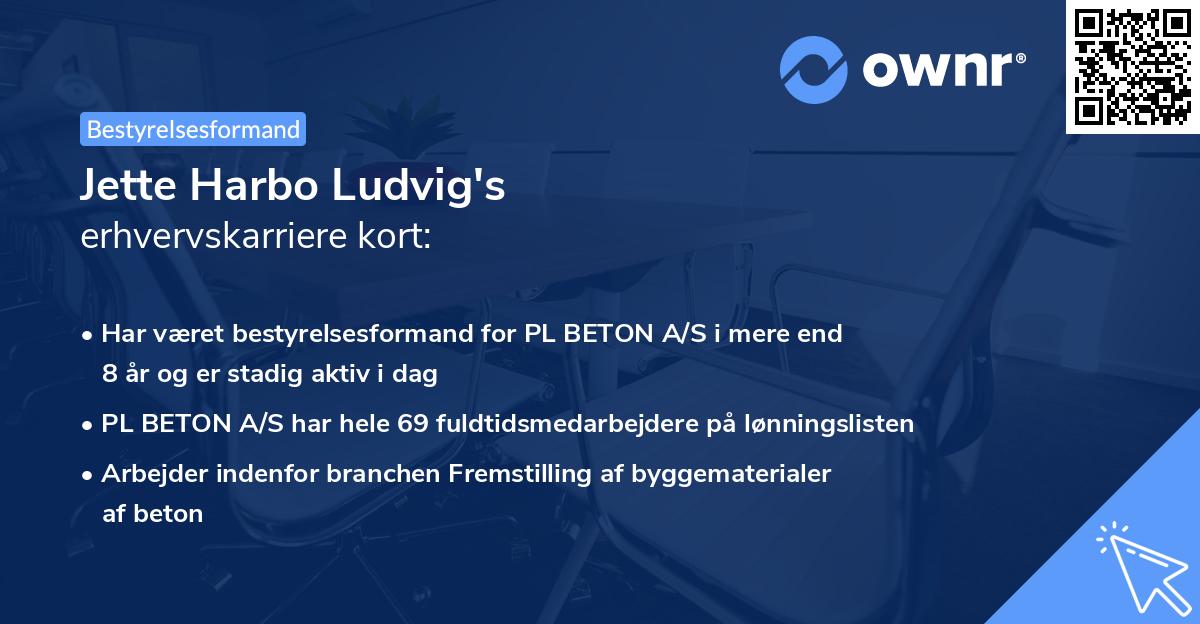 Jette Harbo Ludvig's erhvervskarriere kort