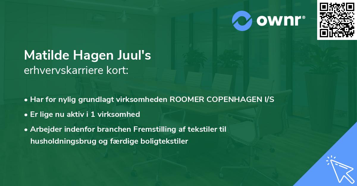 Matilde Hagen Juul's erhvervskarriere kort