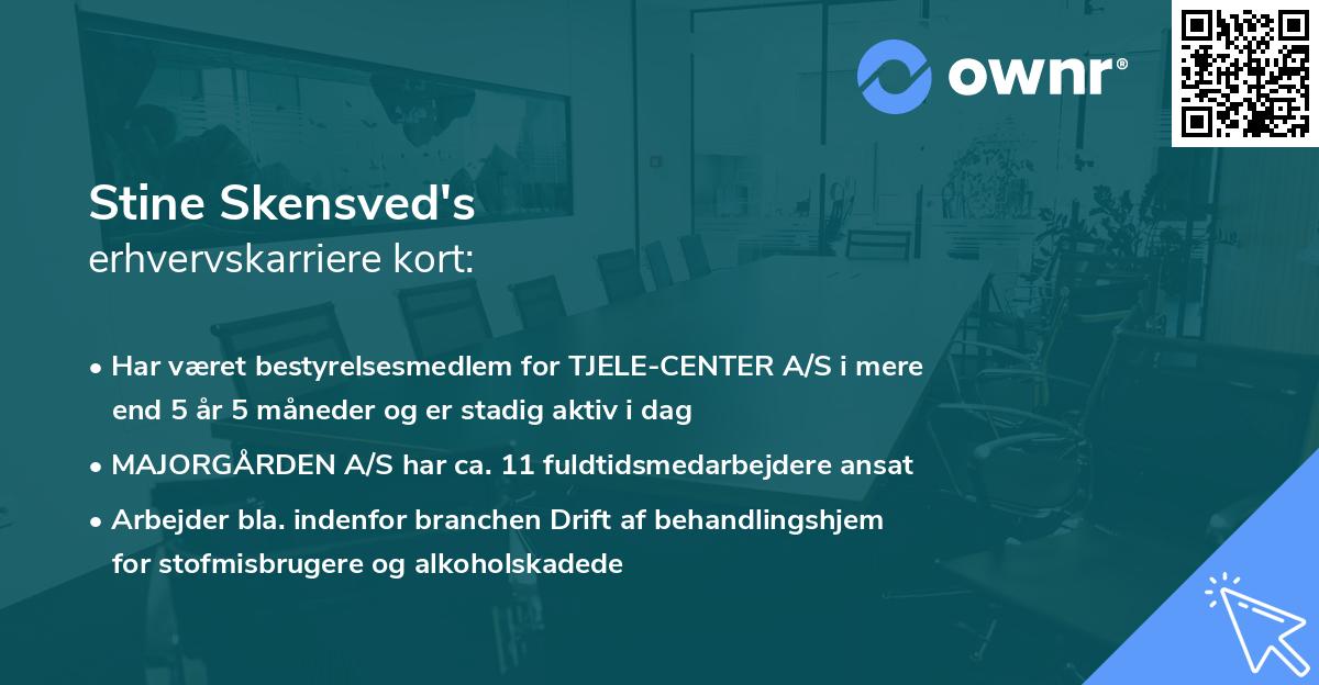 Stine Skensved's erhvervskarriere kort