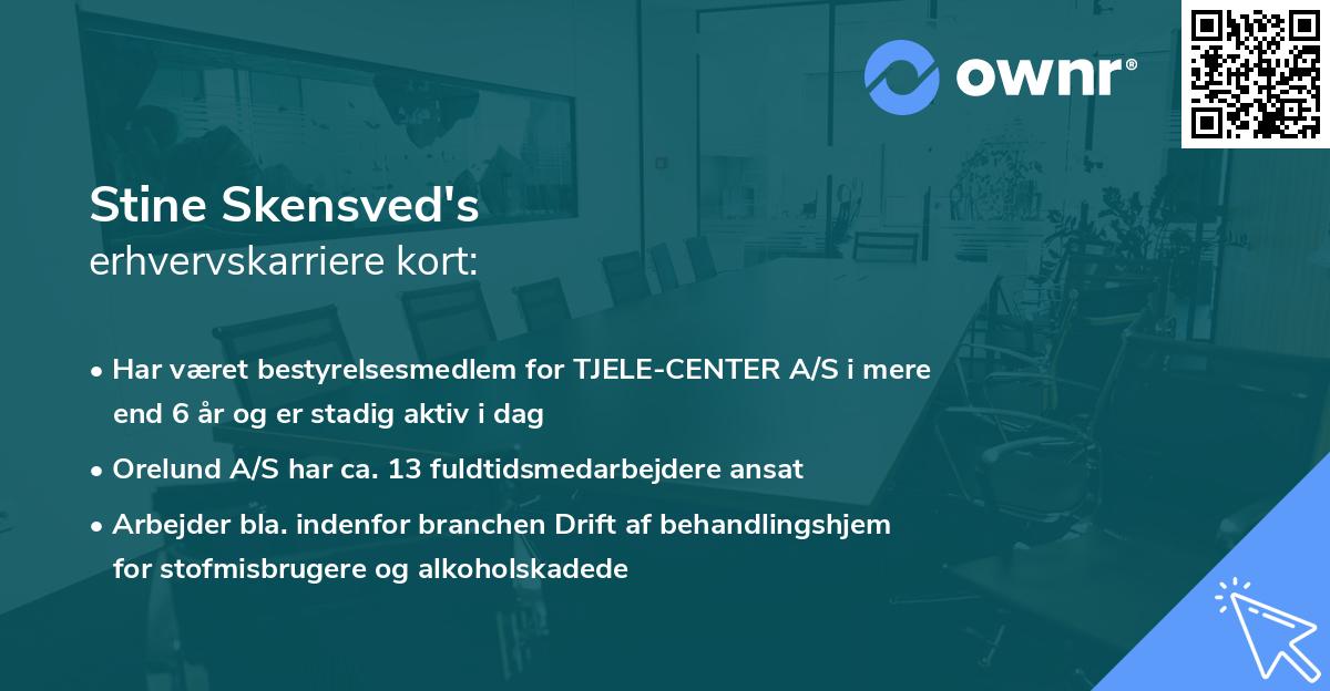 Stine Skensved's erhvervskarriere kort