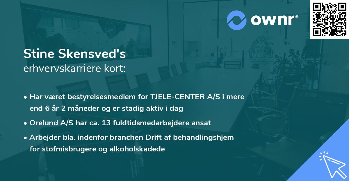 Stine Skensved's erhvervskarriere kort