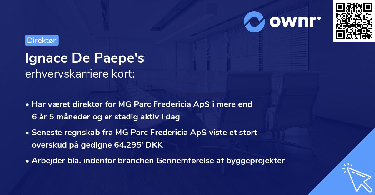 Ignace De Paepe's erhvervskarriere kort